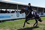  Eliza Shuford, 28, of Hickory, North Carolina and Larentino, owned by the Larentino Group, triumphed in the $150,000 FTI Grand Prix 