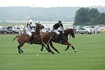 Polo players