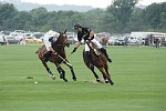 Polo players