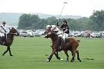 Polo players