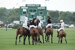 Polo players