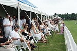 spectators